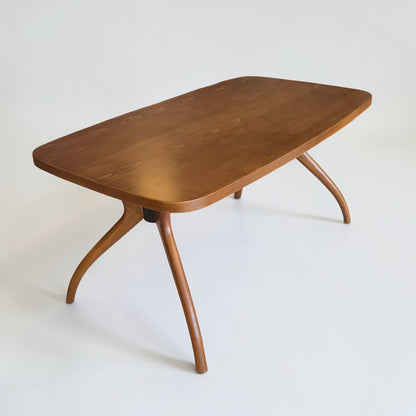 Pilurus Yemek Masası